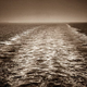 Illustration for article titled Erik Larson’s Dead Wake weaves a tense tale of the sinking of the Lusitania